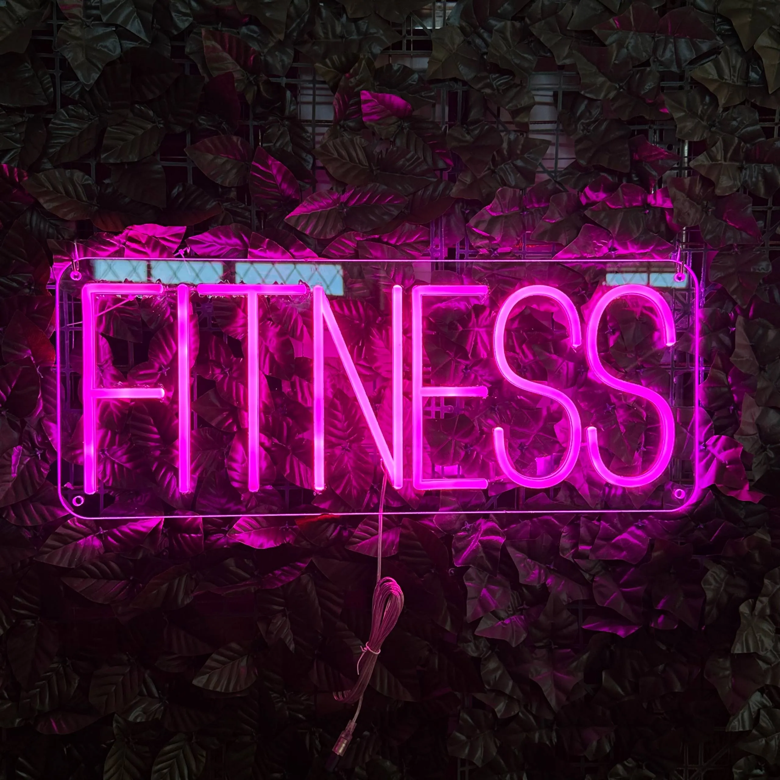 FITNESS