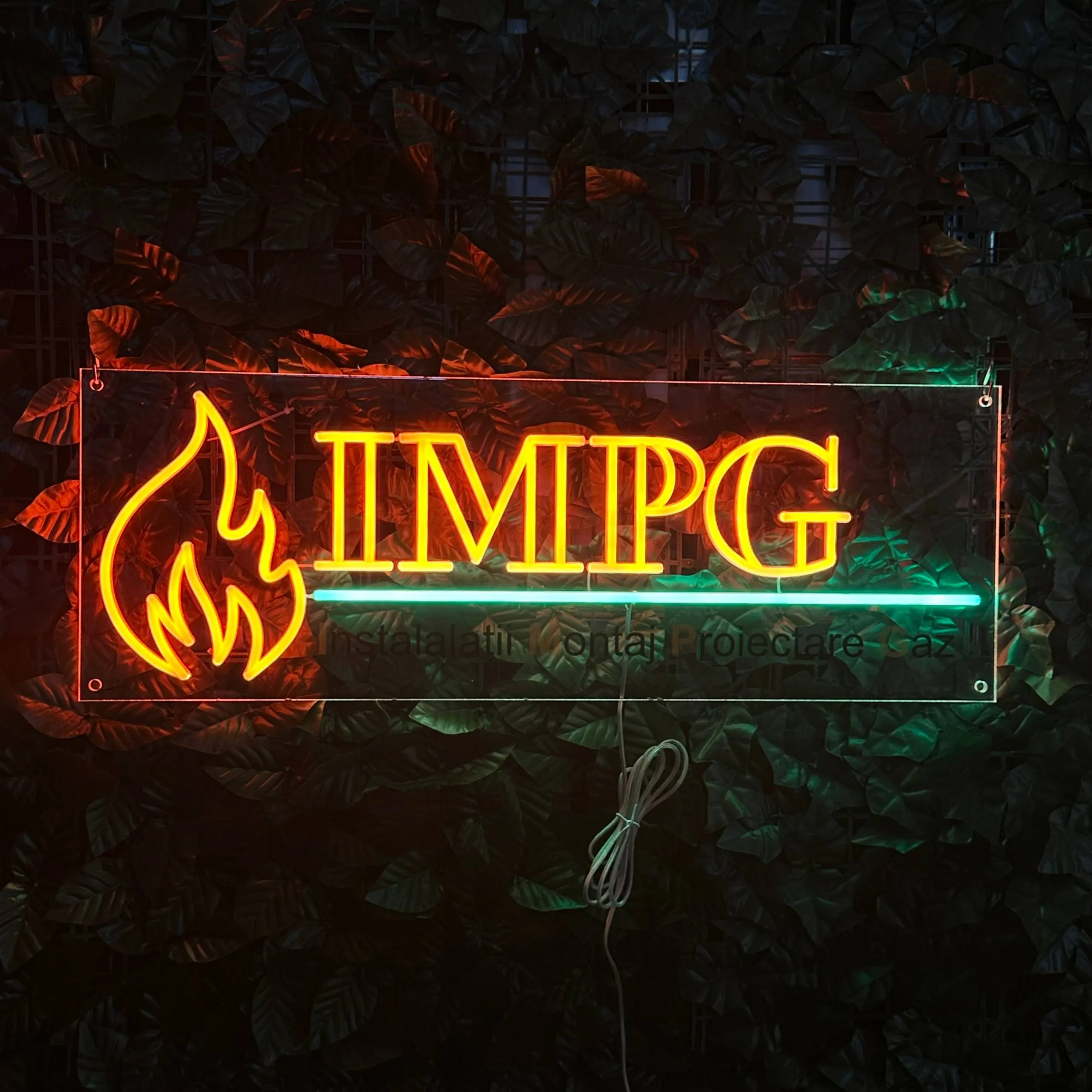 IMPG