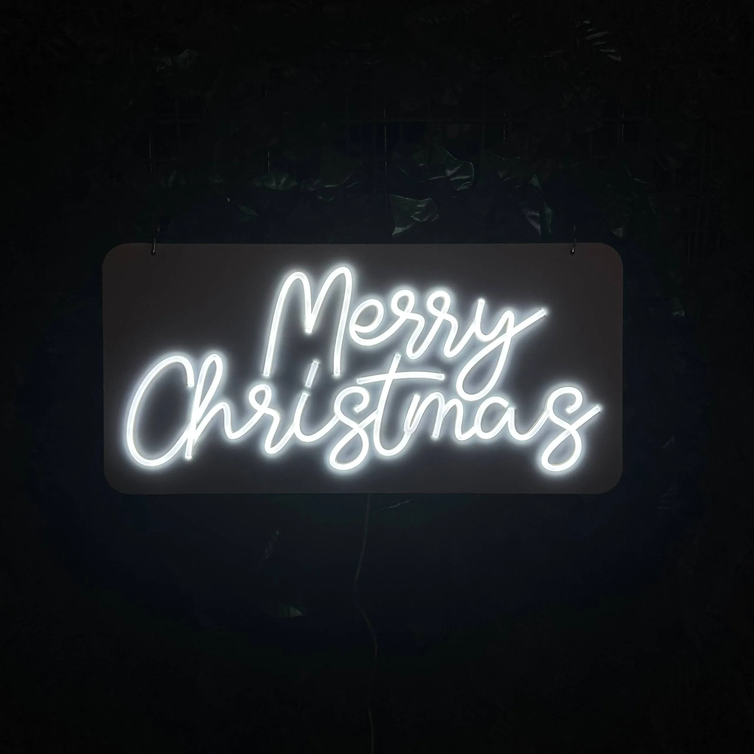 Merry Christmas