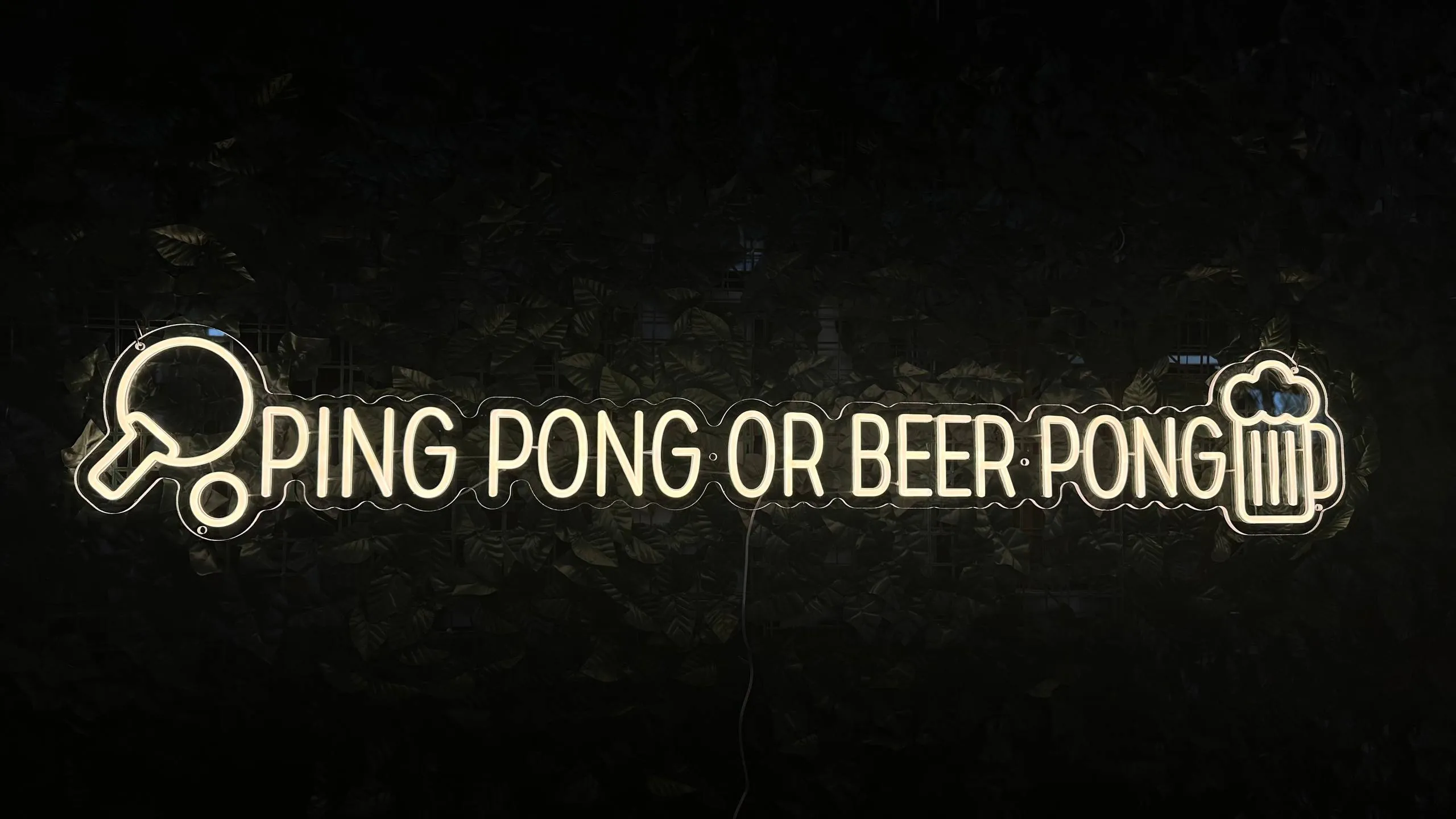 Pong or beer pong