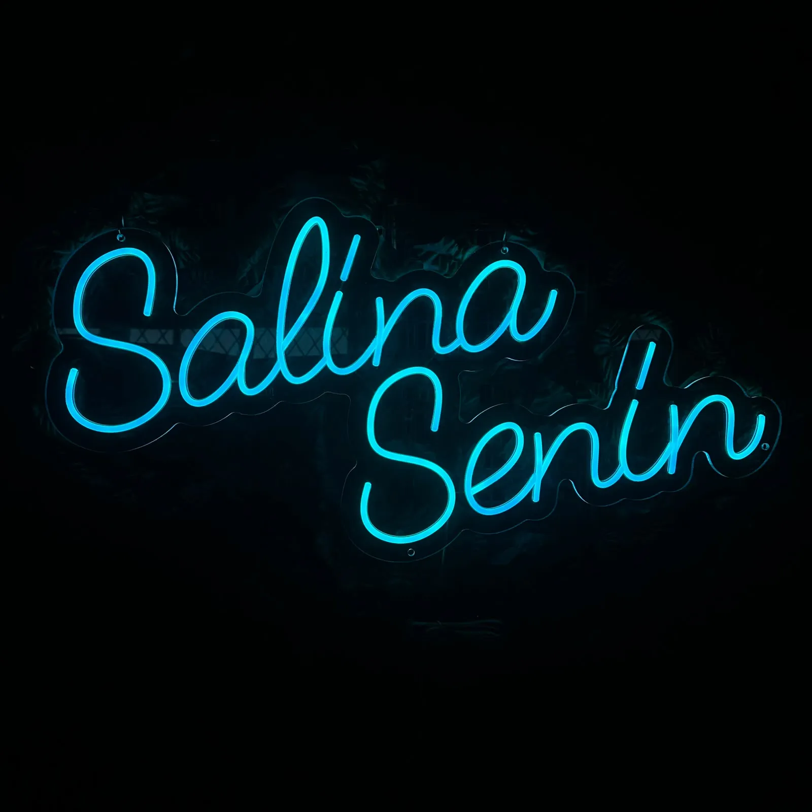 Salina Senin