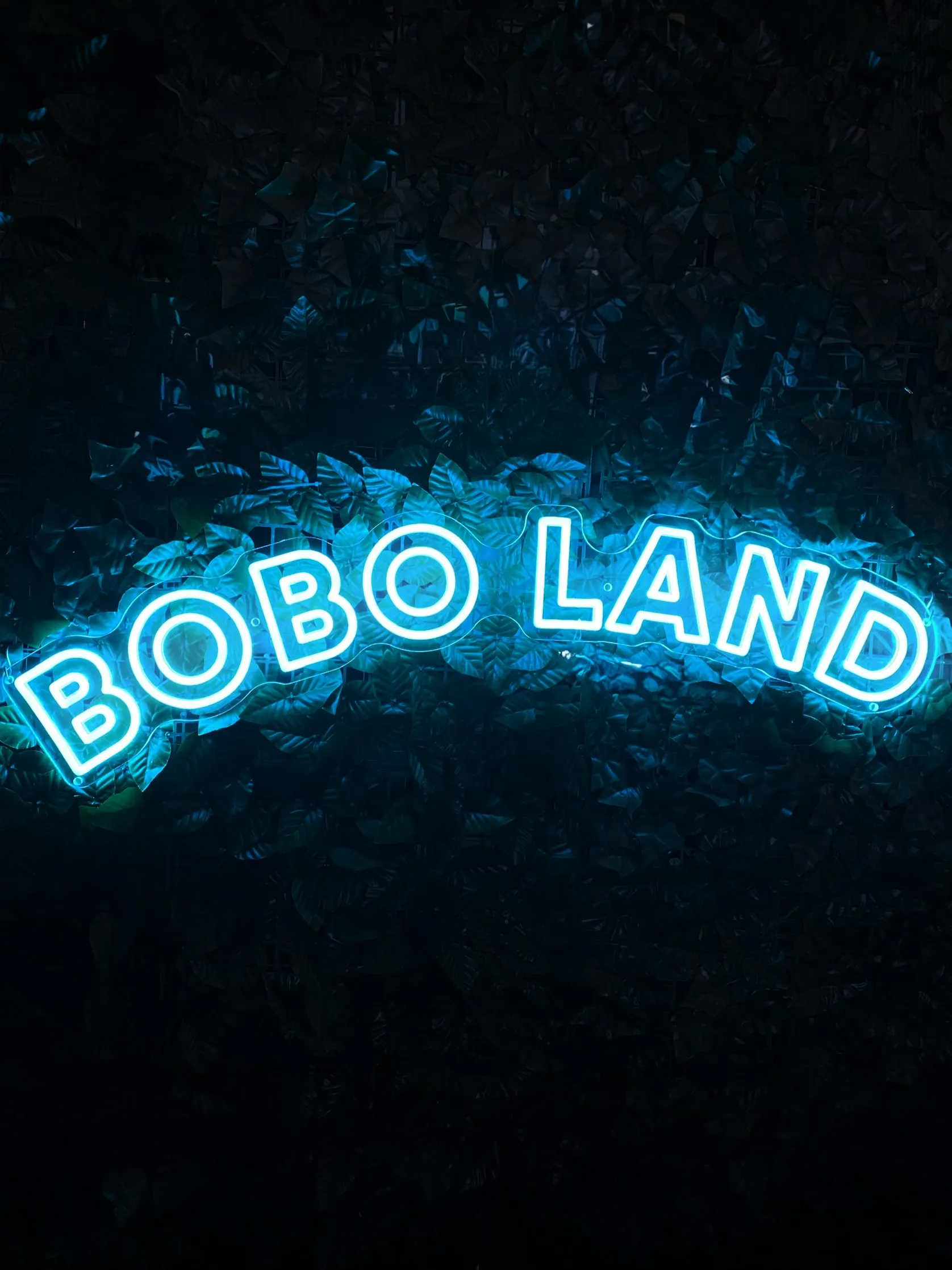 Semn luminos BOBO LAND