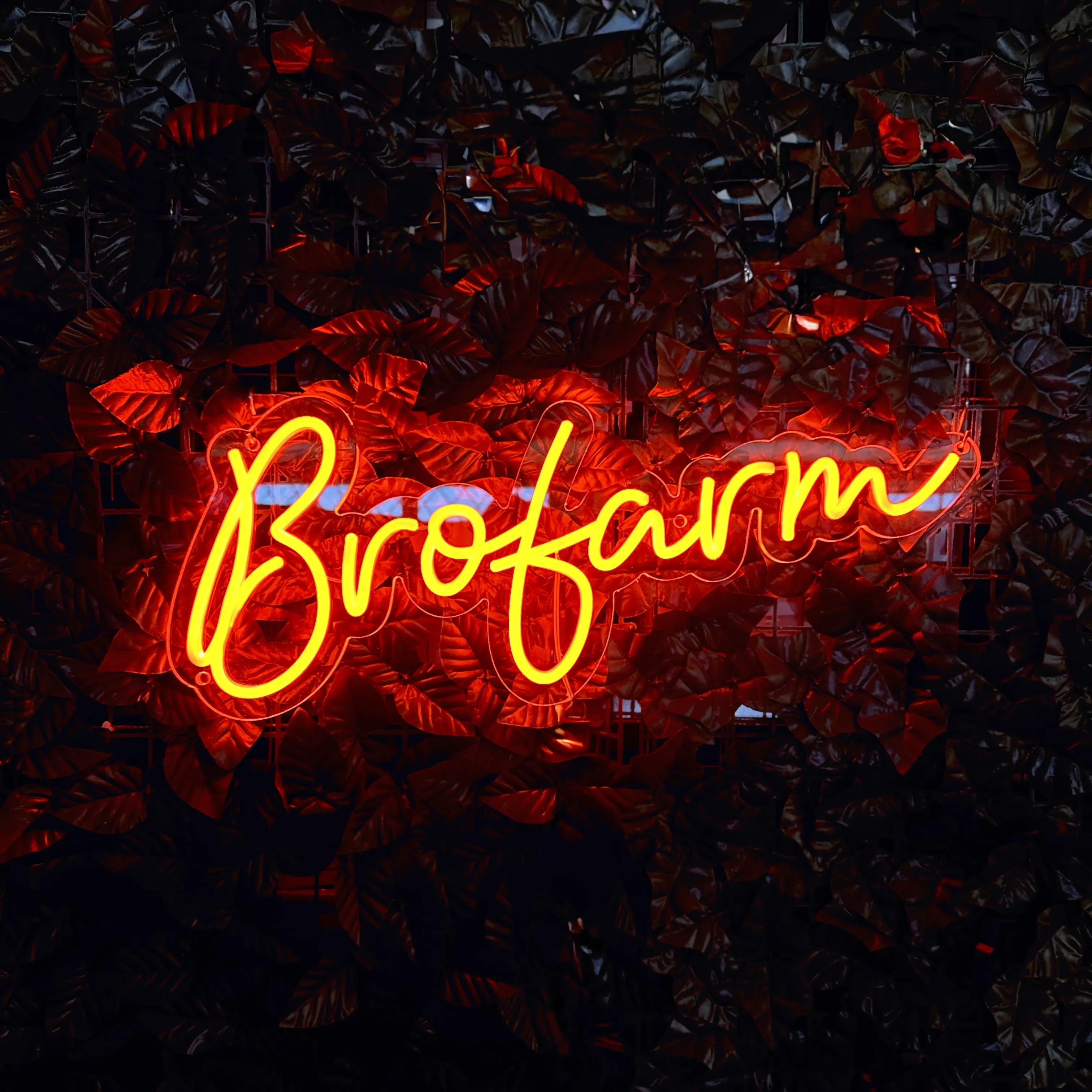 Semn luminos Brofarm