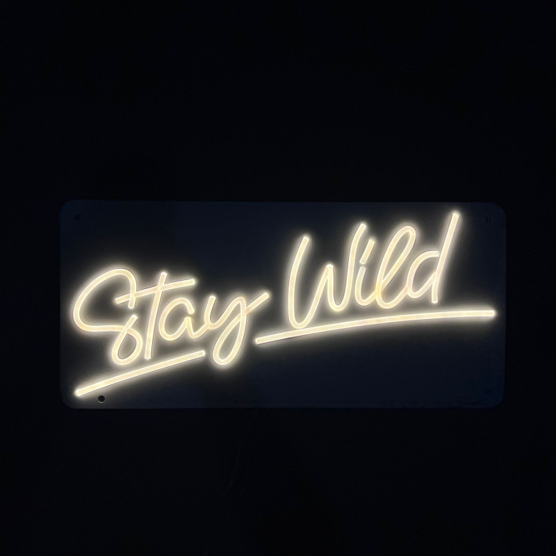 Stay Wild & Have Fun