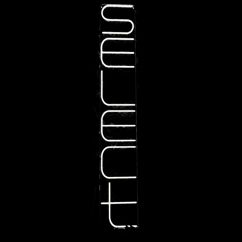 SELECT — enseigne LED néon personnalisée (logo/retail)