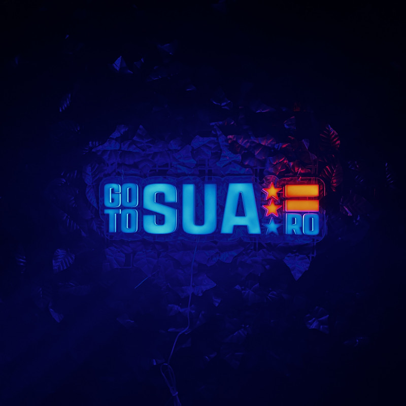 GO TO SUA RO — enseigne lumineuse personnalisée (Work & Travel / visas USA)
