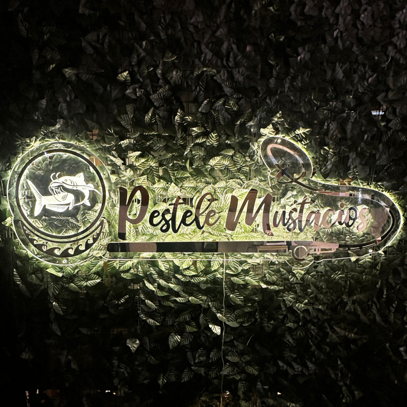 Peștele Mustăcios — semn LED personalizat