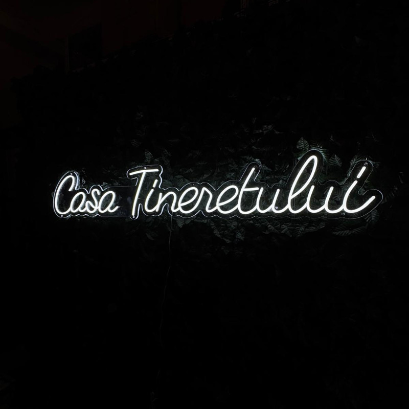 Casa Tineretului