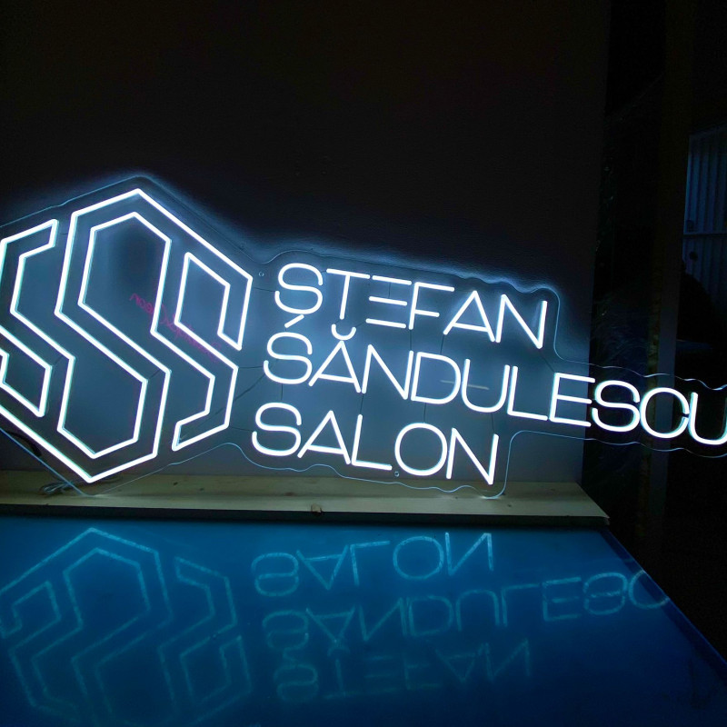 Stefan Sandulescu Salon