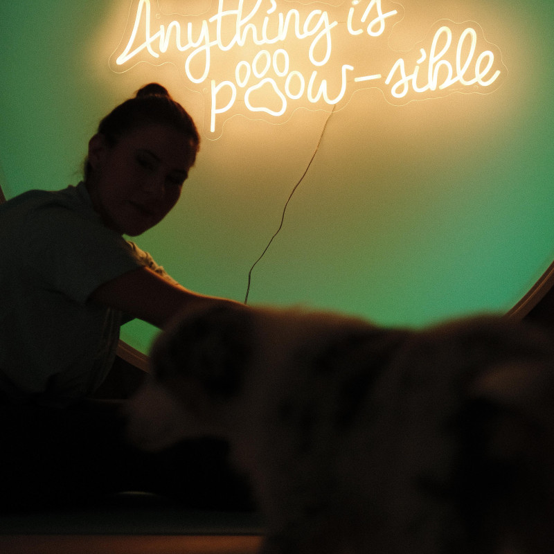 Anything is paw-sible
