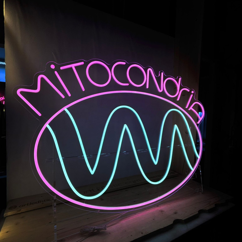 Mitocondria