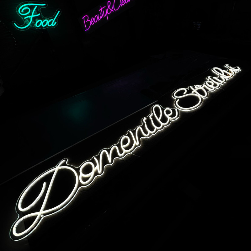 DOMENIILE STREIULUI