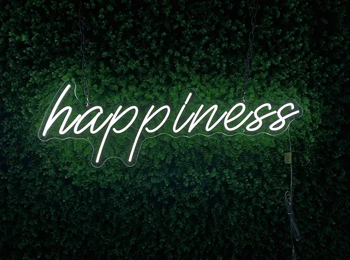 Happiness - Semn Luminos LED Neon