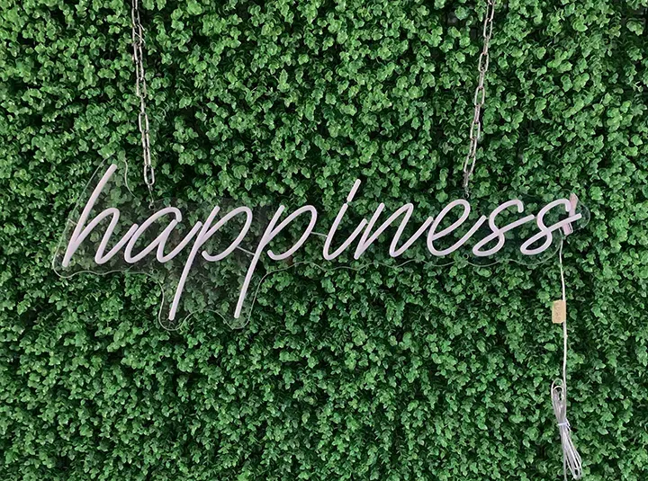 Happiness - Semn Luminos LED Neon