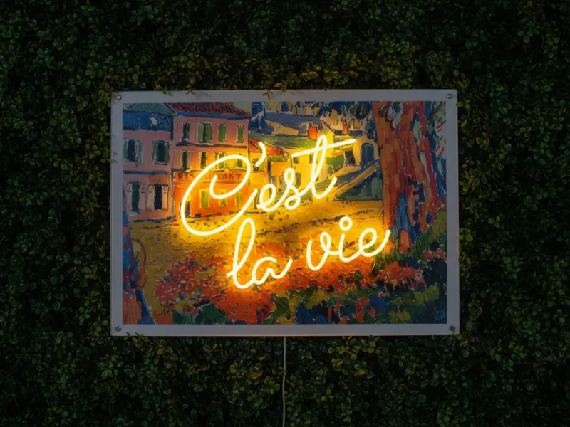 C'est la vie - Semn Luminos LED Neon