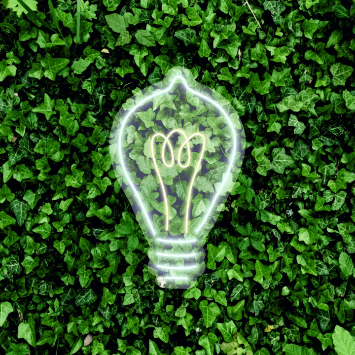 Bec - Semn Luminos LED Neon