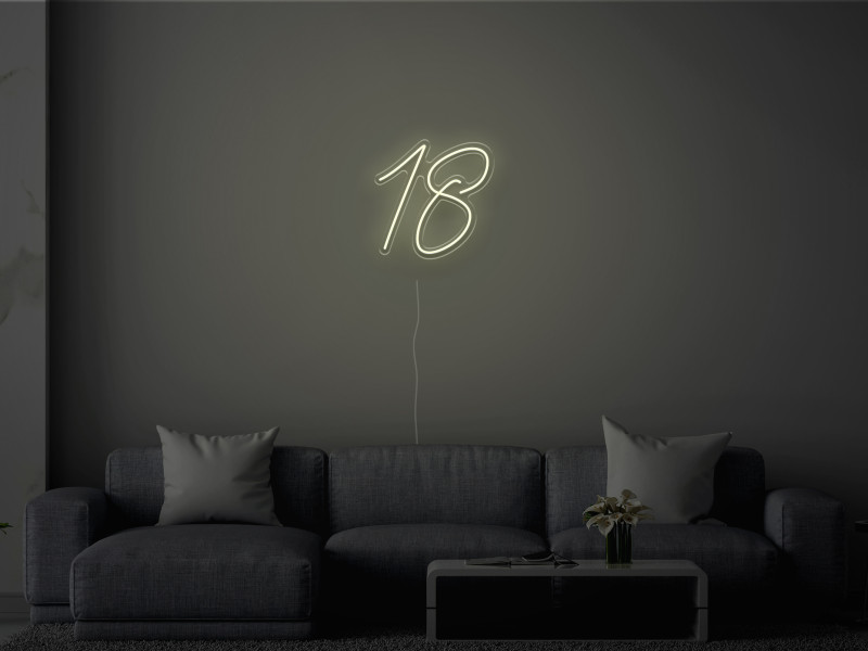18 - Signe lumineux au neon LED