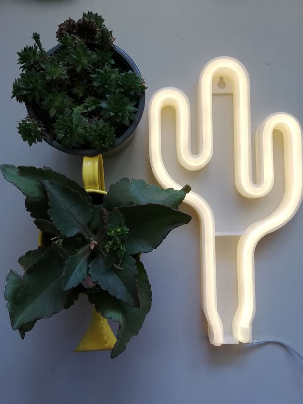Lampa LED Neon Cactus, Lumina Calda, cu Baterii si USB