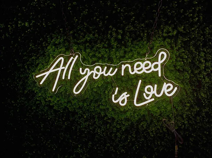 All you need is Love - Neon LED Schild